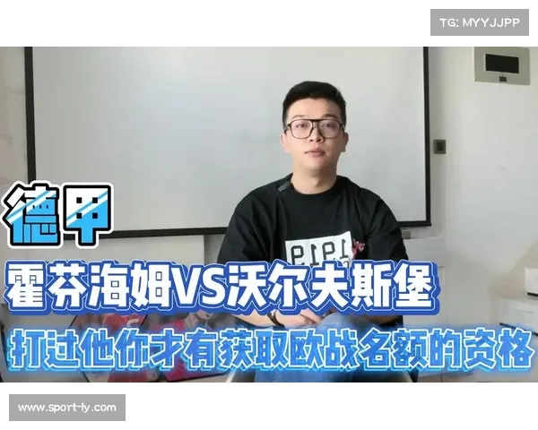 从保级到欧战:霍芬海姆半程崛起之路